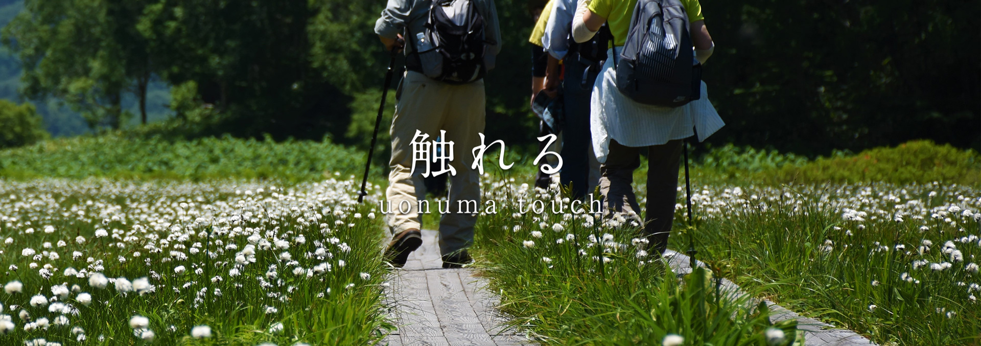 触れる