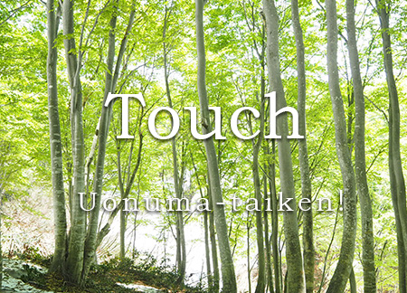 touch