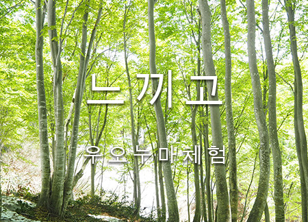 느끼고
