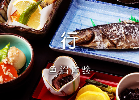 食